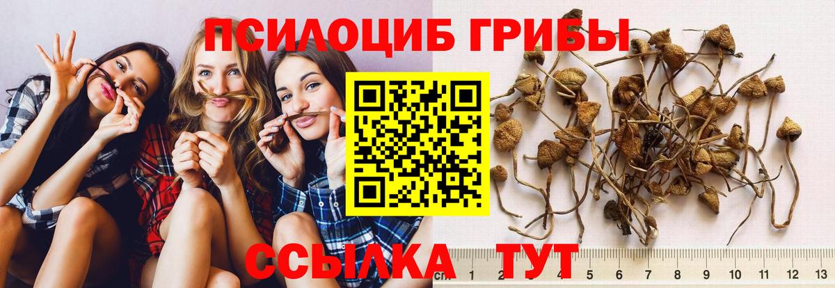 Галлюциногенные грибы мухоморы  Псилоцибиновые грибы прущие грибы  Вход с VPN  Дербент 