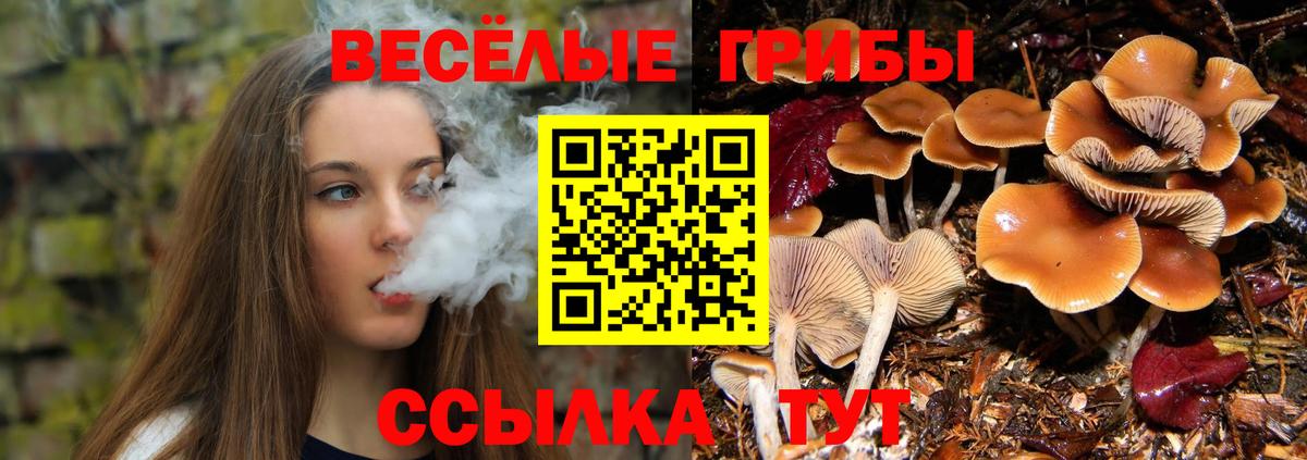 Псилоцибиновые грибы Magic Shrooms Дербент